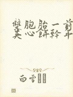 双胞胎一前一后夹心饼干年下