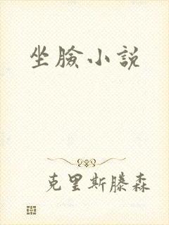 坐脸小说