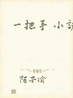 一把手 小说封面
