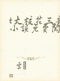 t大校花三部曲小说免费阅读全文