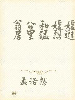 翁公和媛媛在厨房里猛烈进出封面