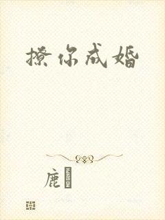 撩你成婚