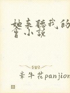 她来听我的演唱会小说