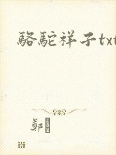 骆驼祥子txt