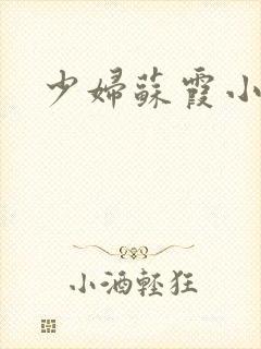 少妇苏霞小说