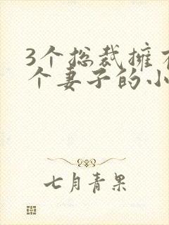 3个总裁拥有一个妻子的小说