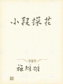小段探花