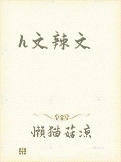 h文辣文封面