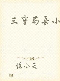 三宝局长小说