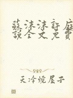苏沫沫许庭川小说全文免费阅读封面
