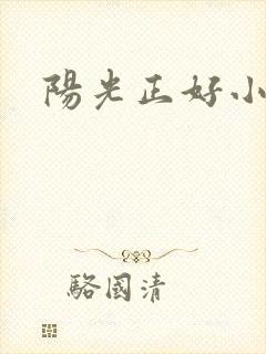 阳光正好小说