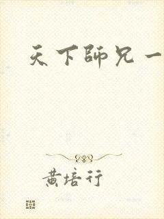 天下师兄一般黑封面
