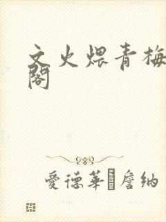 文火煨青梅笔趣阁封面