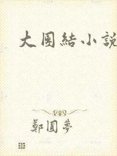 大团结小说阅读
