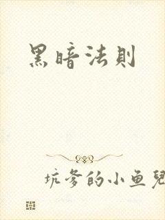 黑暗法则封面