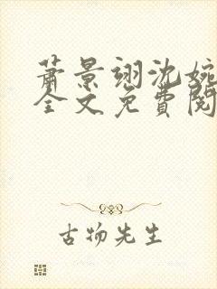 萧景翊沈婉小说全文免费阅读封面