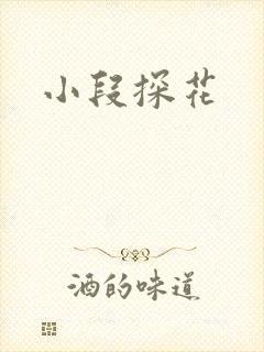 小段探花