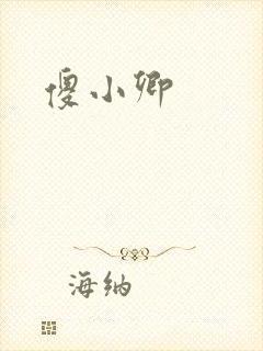 傻小卿封面