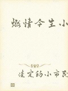 燃情今生小说