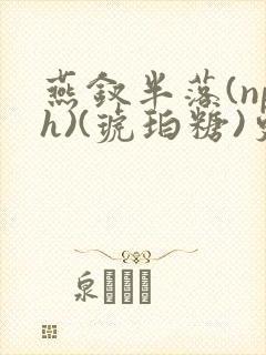 燕钗半落(nph)(琥珀糖)更新