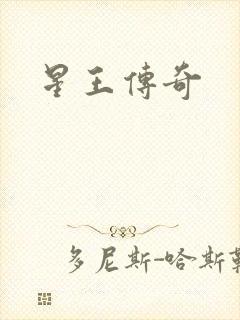 星王传奇
