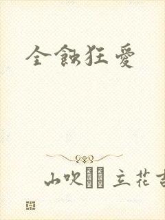 全蚀狂爱封面