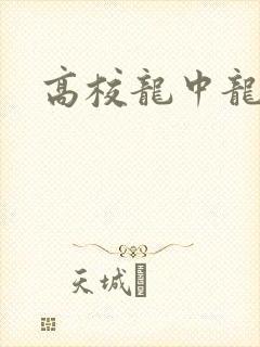 高校龙中龙