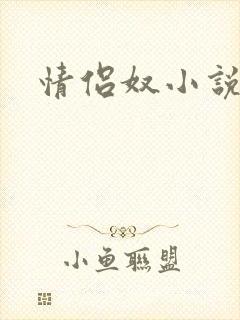 情侣奴小说