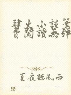 肆火小说笔趣免费阅读无弹窗