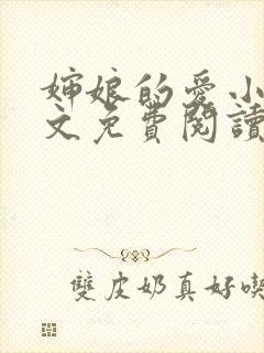 婶娘的爱小说全文免费阅读封面