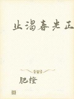 止渴春光正好