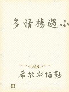 多情杨过小说封面