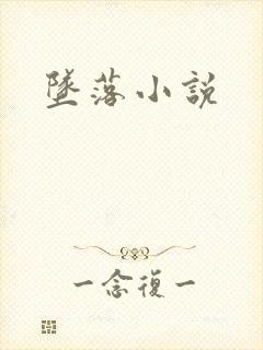 坠落小说封面
