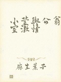 小莹与公翁办公室激情封面