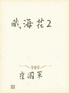 藏海花2
