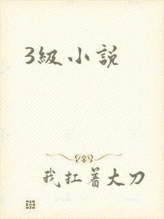 3级小说