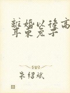 离婚以后高干 耳东兔子封面