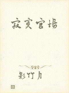 寂寞官场
