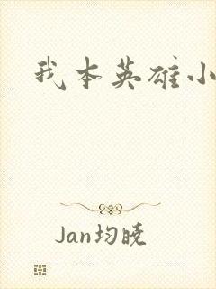 我本英雄小说