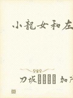 小龙女和左剑清封面