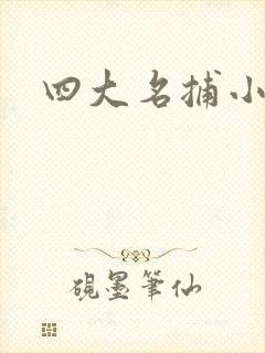 四大名捕小说