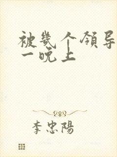 被几个领导玩弄一晚上