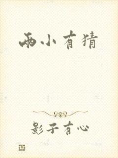 两小有猜