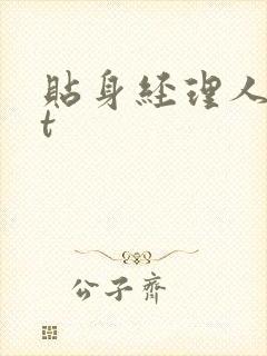 贴身经理人txt