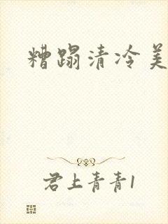 糟蹋清冷美人封面