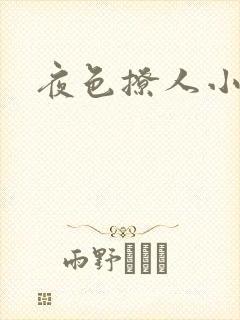 夜色撩人小说封面