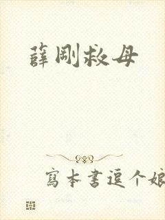 薛刚救母