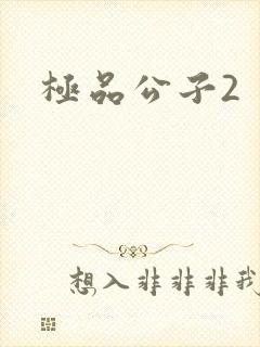 极品公子2封面