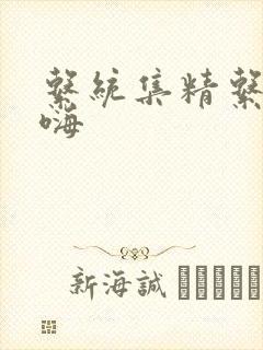 系统集精系统高嗨