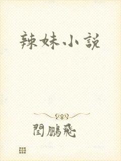 辣妹小说封面